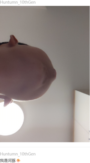 河豚.png