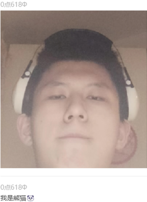 熊猫.png