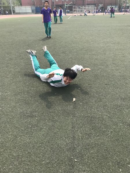 文件:C221219彘.jpg